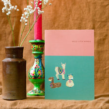 Load image into Gallery viewer, Alpaca Bundle New Baby Greetings Card