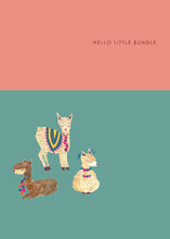 Load image into Gallery viewer, Alpaca Bundle New Baby Greetings Card
