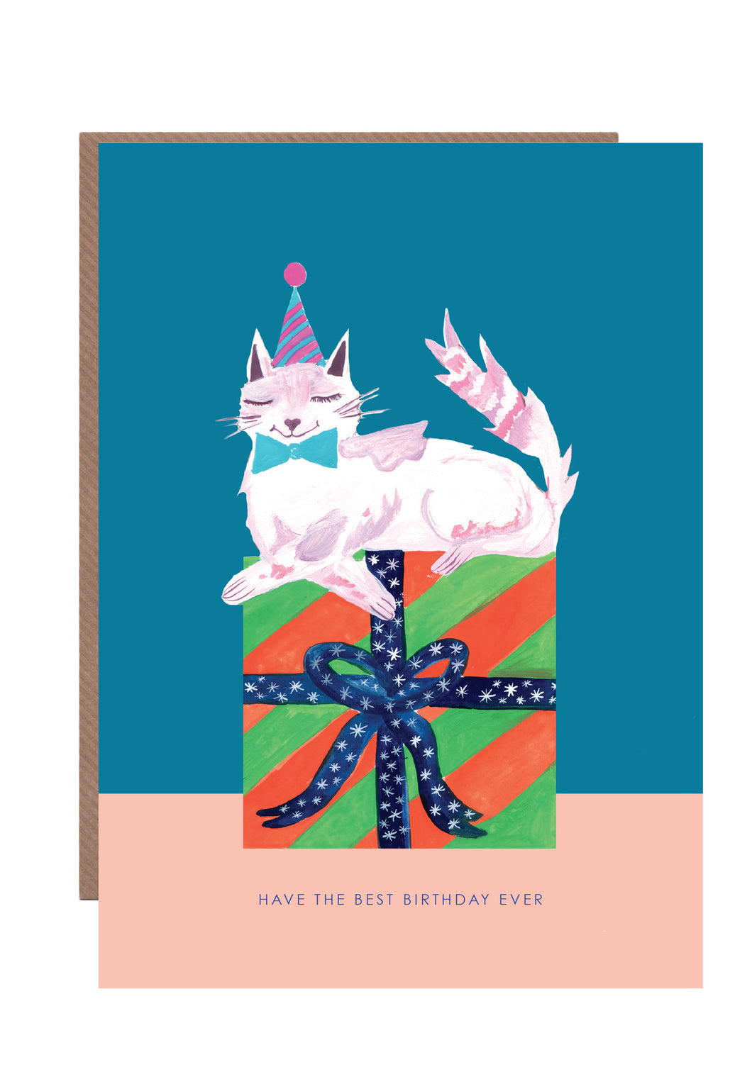 Cat on Present Birthday Greetings Card